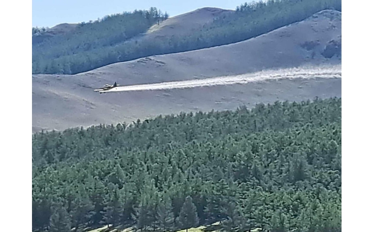 Богд ууланд шавж устгал эхэллээ
