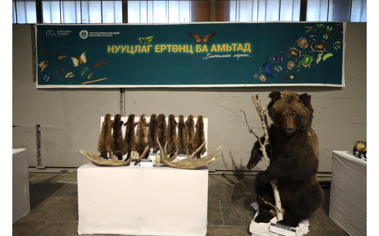 "Нууцлаг ертөнц ба амьтад” үзэсгэлэн нээгдэв